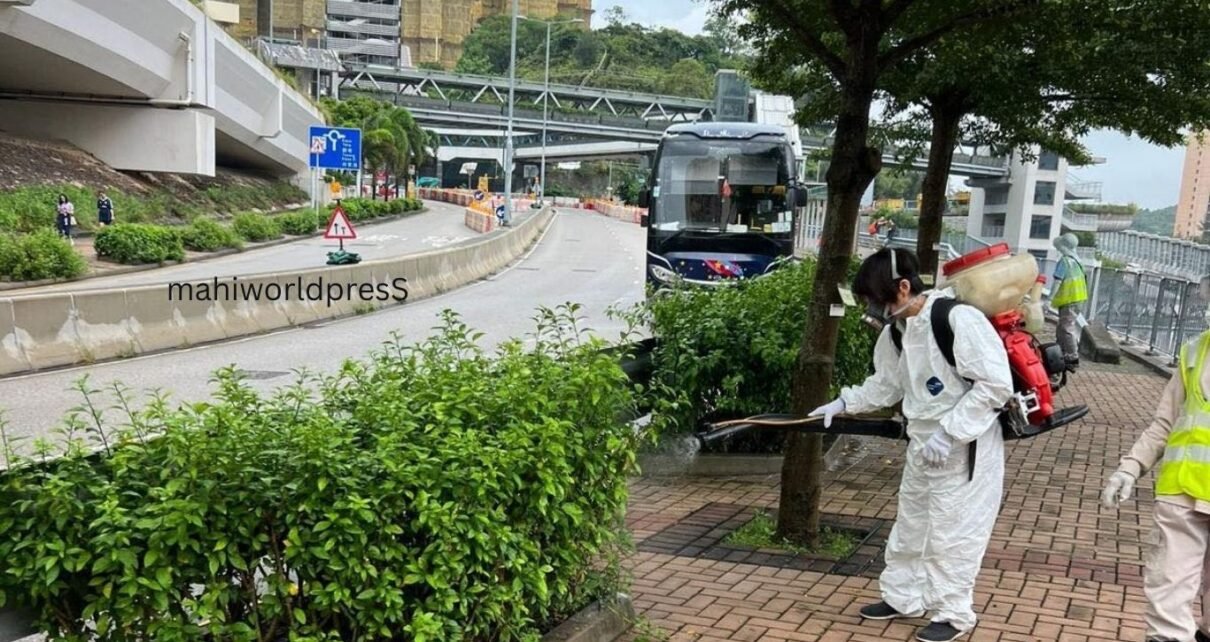China Reports 7,000 Cases of Chikungunya Virus: Health Authorities on High Alert