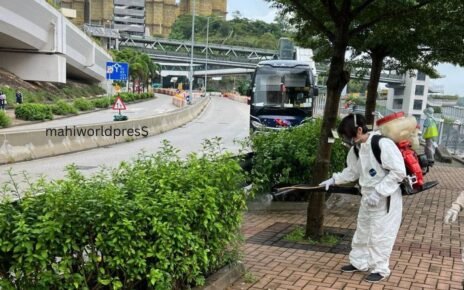 China Reports 7,000 Cases of Chikungunya Virus: Health Authorities on High Alert