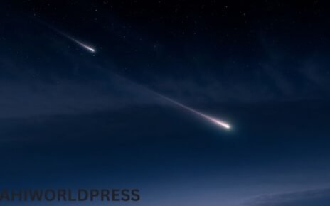 Meteorite Fragment